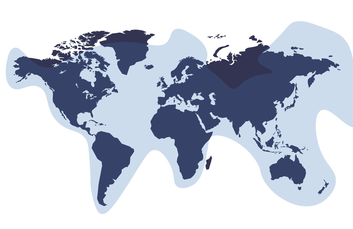4-KVH-Coverage-Map