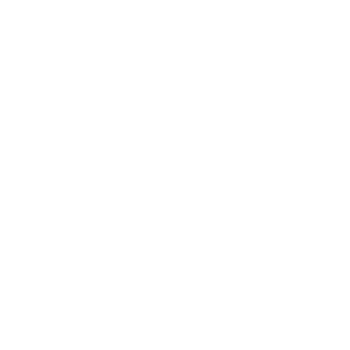 APNT Tracking Icon White