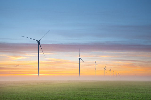 Wind turbines in misty field