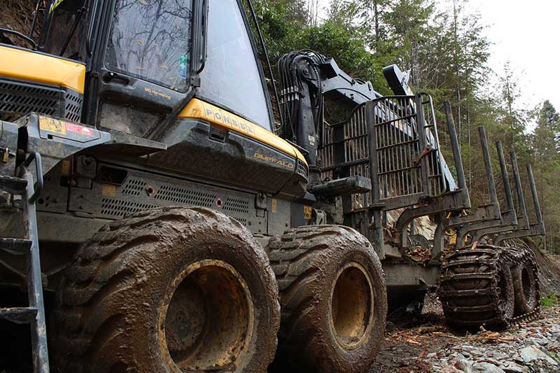 Heavy-machinery-forestry