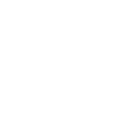 Critical-Icon-1