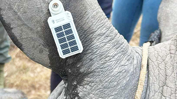 Globalstar Tracking Devices Now Integrated with Cloudloop